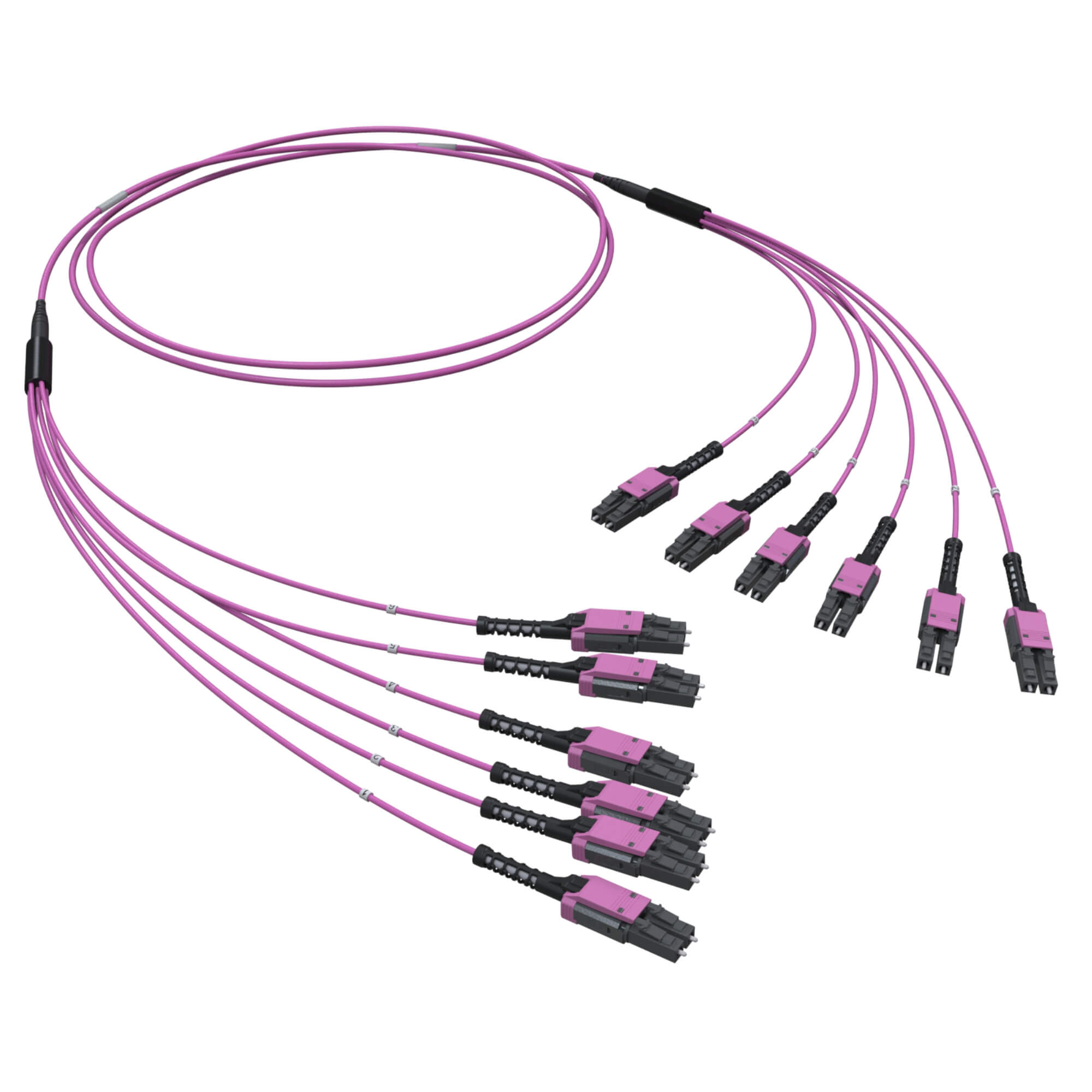 Оптическая разветвительная сборка 12ОВ 50/125 OM4, 6хLC двухволоконный (Duplex) Uniboot/6хLC двухволоконный (Duplex) Uniboot, 25м