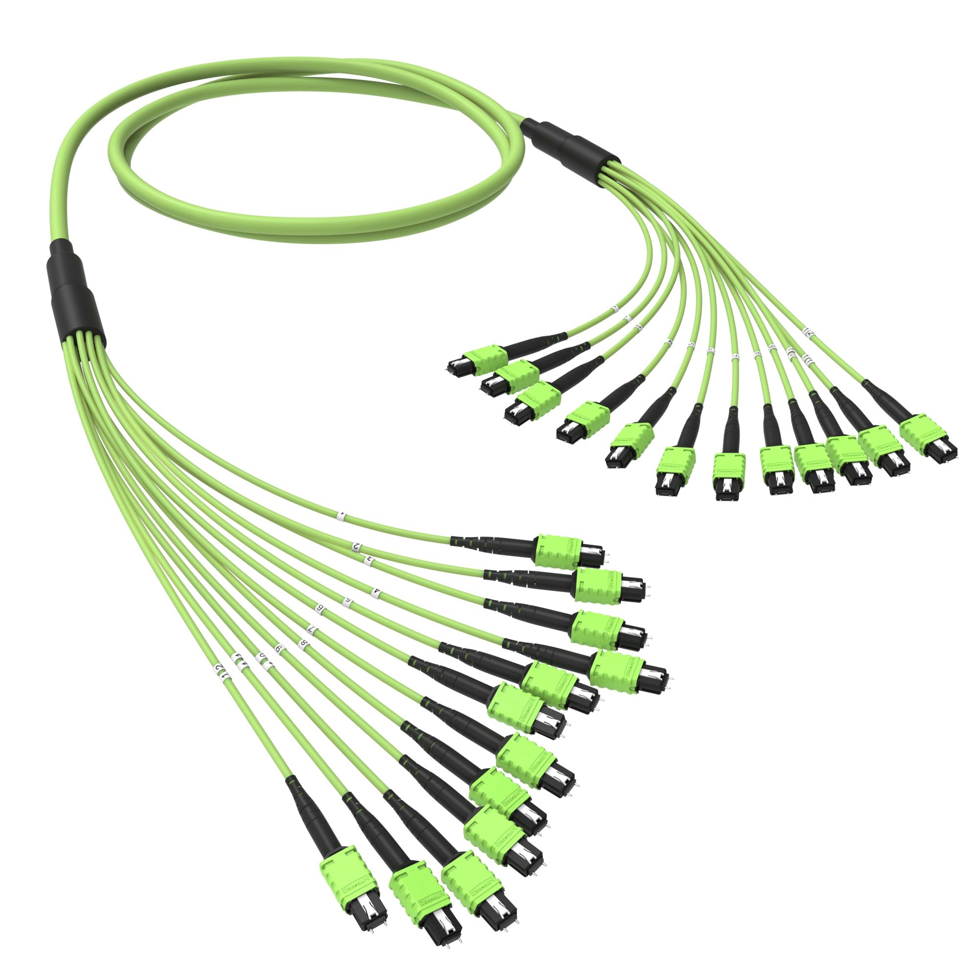Оптическая магистральная сборка 144 ОВ 50/125 OM5, 12xMTP PRO(12)m/12xMTP PRO(12)m, тип В, 30 м