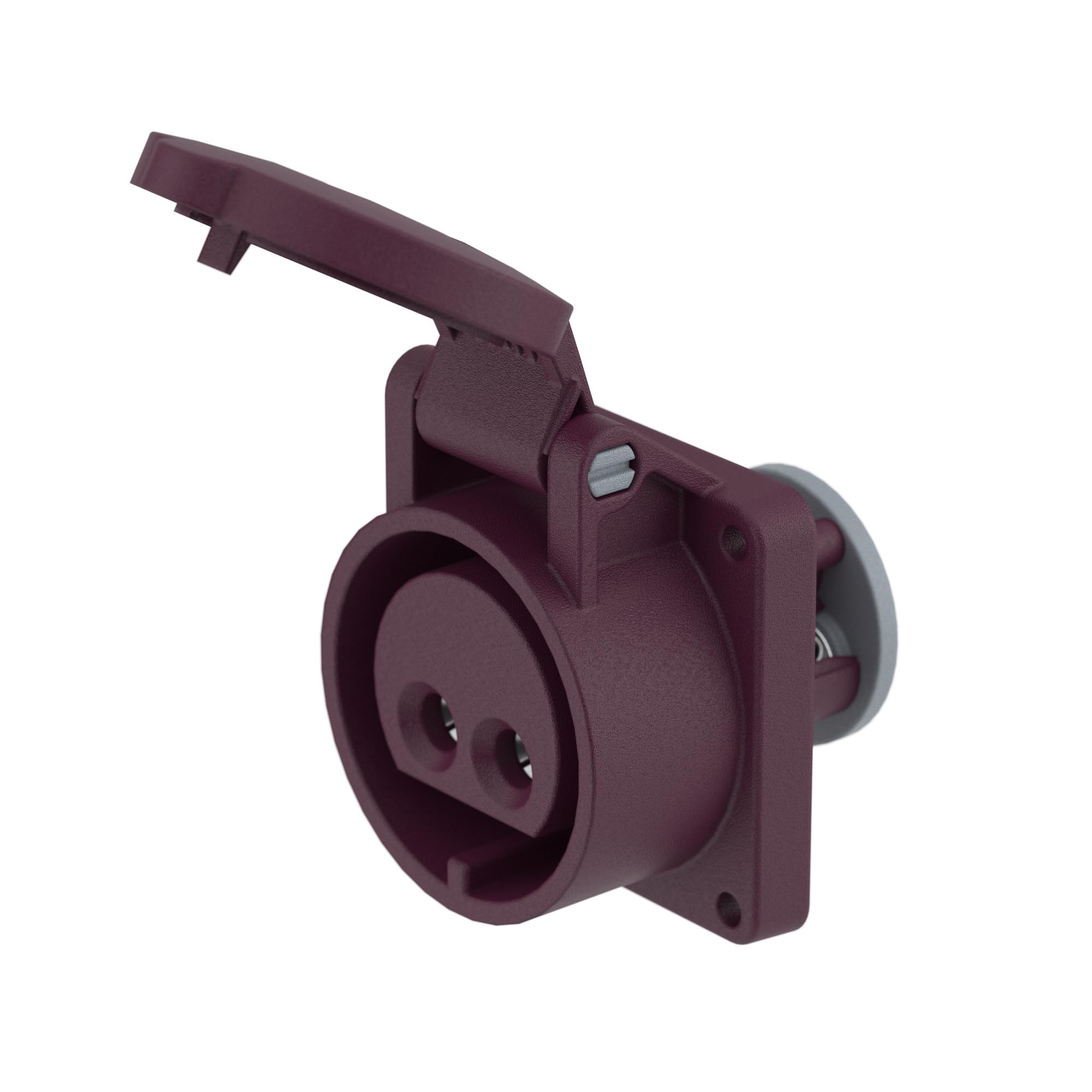Розетка панельная PSS IP44 16A 2P 25В