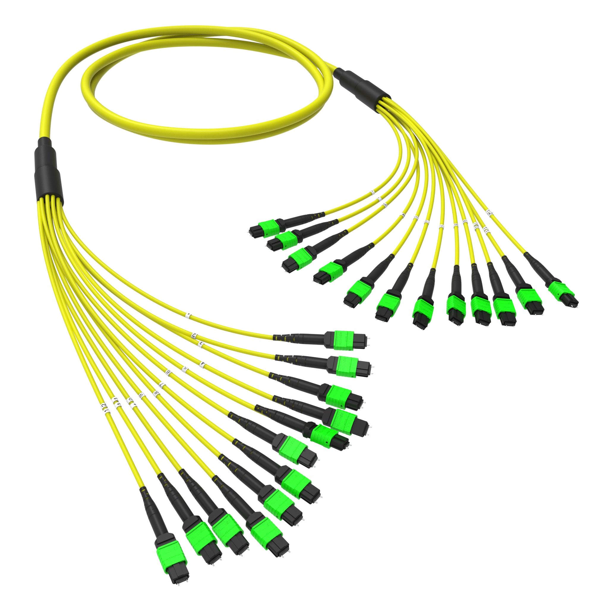 Оптическая магистральная сборка 144 ОВ 9/125 OS2, 12xMTP(12)m/12xMTP(12)m, тип В, 40 м