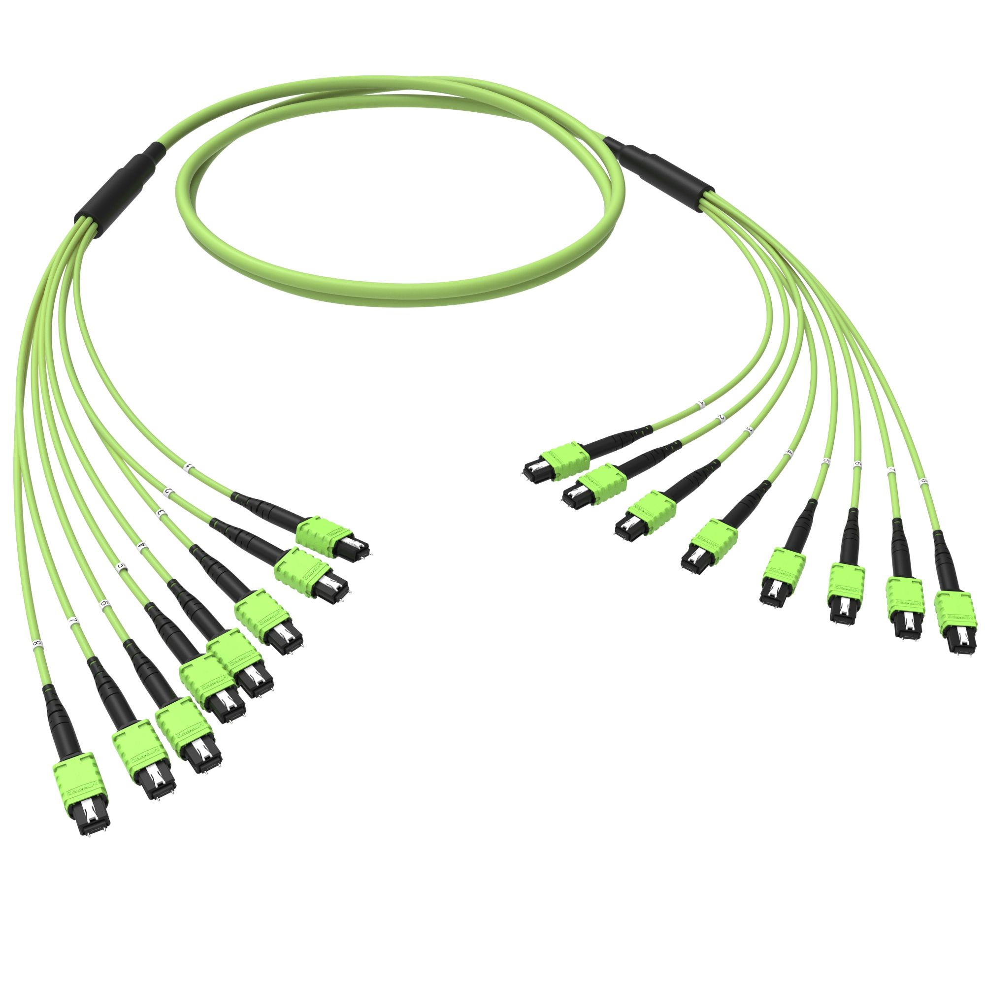Оптическая магистральная сборка 96 ОВ 50/125 OM5, 8xMTP PRO(12)m/8xMTP PRO(12)m, тип В, 30 м
